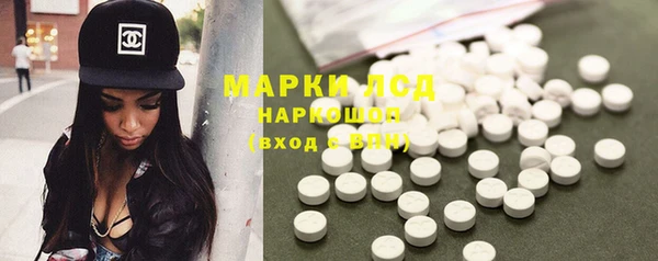 молекула духа Арсеньев