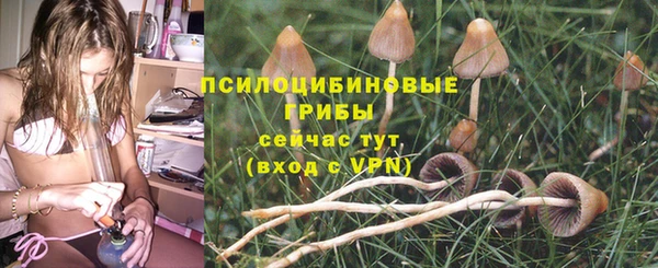 молекула духа Арсеньев
