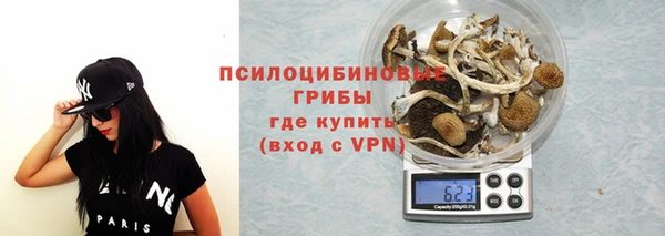 ALPHA PVP Аркадак