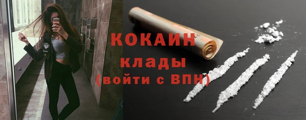молекула духа Арсеньев