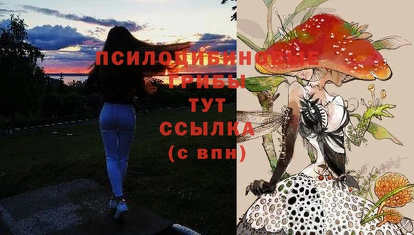 молекула духа Арсеньев