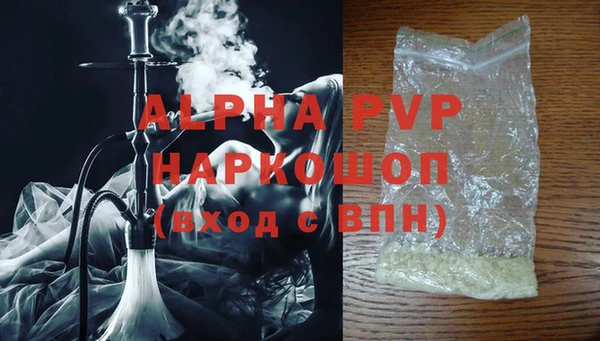 молекула духа Арсеньев