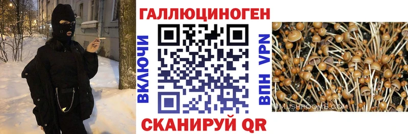 Купить где  Нахабино  Галлюциногенные грибы ЛСД 
